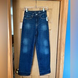 Old Navy High-Rise O.G. Loose Blue Jeans Secret Smooth Pockets Size 2